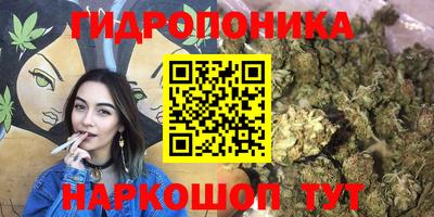 гидропоника Пенза