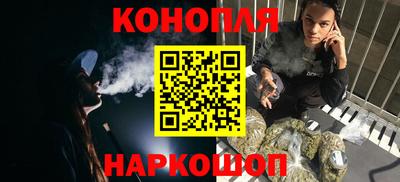 гидропоника Пенза